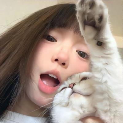 南方的愿望